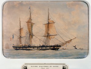 Havre