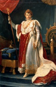 Napolyon Bonapart (1769-1821) (tuval üzerine yağlı boya) by Baron François Pascal Simon Gérard