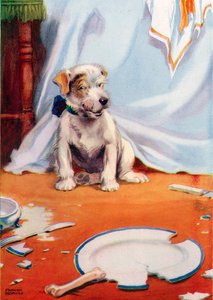 Plakası kırık köpek (renkli taş) by Frank Adams