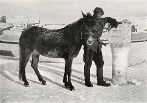 Katır Lal Khan ile Gran, c1911, 1913 by Frank Debenham