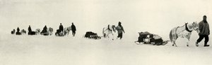 Mart 1911, 1913