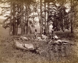 Elk Hunters, Yellowstone, c.1880 (albüm gümüş baskı)