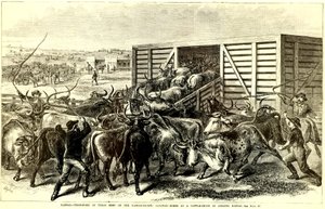Abilene, Kansas, c Sığır Oluk. 1871 (gravür)