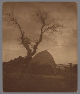 Whitby bij zonsondergang