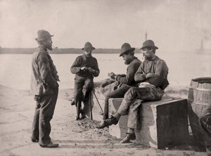 Whitby Körfezi