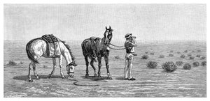 Görünürde hiçbir şey yok, 1886. by Frank P. Mahony