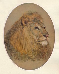 Aslan Kafası, c1896