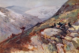 Kielder yakınlarında (renkli taş) by Frank Southgate