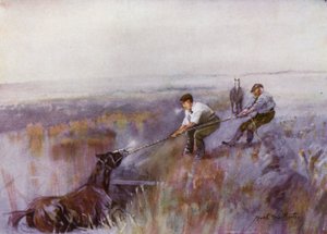 Norfolk Broads: Hepsi Bir Günde İş by Frank Southgate