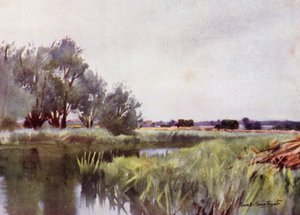 Norfolk Broads: Marsh Hay - Yare