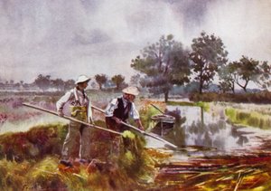 Norfolk Broads: Marshmen Ot Kaldırma by Frank Southgate