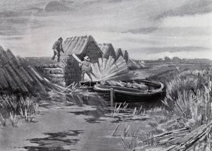 Norfolk Broads: Kamış İstifleme (lito) by Frank Southgate