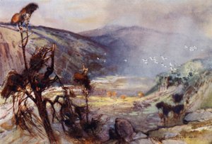 Cheviots