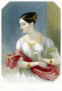 Mür (el renkli baskı)