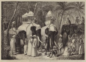 Travancore Rajahının Filleri by Frank Vizetelly