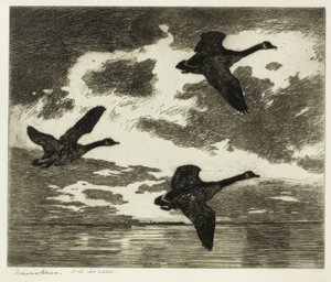 bulutlu sabah by Frank Weston Benson