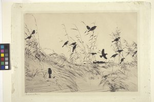Blackbirds And Rushes (kağıt üzerine mürekkep)