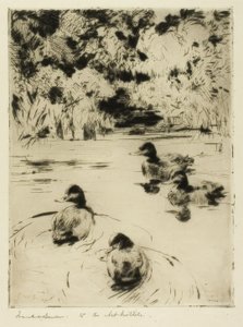 Küçük mavi kuşlar by Frank Weston Benson