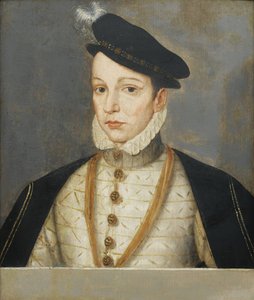 Fransa Kralı Charles IX