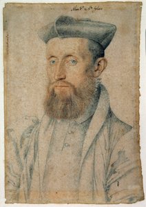 Mellin de Saint-Gelais