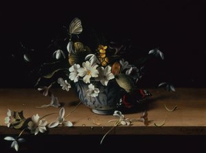 Ahşap Çıkıntıda Kırmızı Amiral Kelebekli Mavi ve Beyaz Çin Porselen Kasedeki Çiçekler (panelde yağ) by François Habert