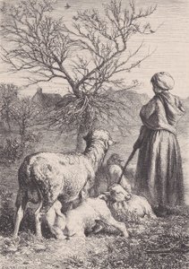 Bir Çoban, ca. 1852. by François Rouget