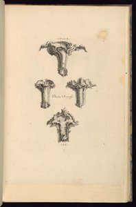 Temel Tasarımlar by François de Cuvilliés the Elder