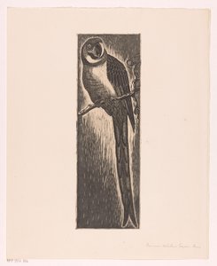 Dalda oturan papağan (nesnedeki orijinal başlık) by Frans Bosen
