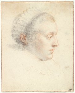 Bir Hanımefendinin Profil Portresi (kağıt üzerinde guajlı siyah ve kırmızı tebeşirler) by Frans II Pourbus