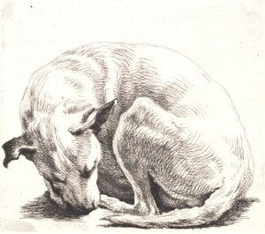Örnek plaka: Bir köpek by Frans Schwartz