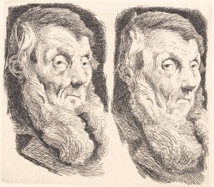 Sağa iki kez bakan yaşlı sakallı bir adamın örnek plakası by Frans Schwartz