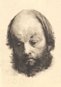 Kara sakallı adam, Garibaldi by Frans Schwartz