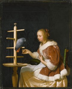 Papağan Besleyen Genç Kadın, 1663. by Frans van Mieris the Elder