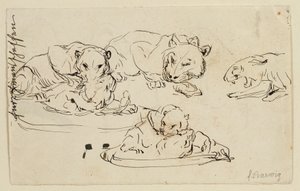 Hırıltılı Sundapanthers by Franz Barwig d. Ä.