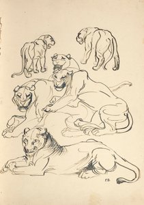 altı puma by Franz Barwig d. Ä.