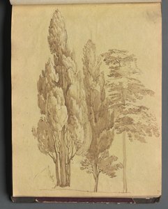 Roma ve Çevresi Manzaralı Albüm, Peyzaj Çalışmaları, sayfa 15a: Ağaçlar. by Franz Johann Heinrich Nadorp