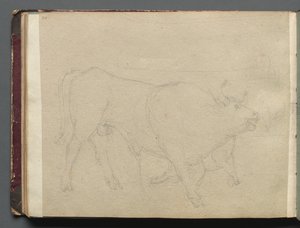 Roma ve Çevresi Manzaralı Albüm, Peyzaj Çalışmaları, sayfa 51b: Bir Boğa Çalışması. by Franz Johann Heinrich Nadorp