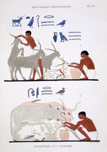 Thebes'ten Nadir Bir Fresk Kaydı'ndan Veterinerlik Çalışması, Frederic Cailliaud (1787-1869), renkli lito tarafından Mısır'a ikinci ziyaretinde 1819-1822 kaydedildi