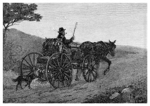Bir Colac Tavşan Tuzağı, 1886.