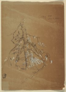 Gnarled Evergreen, Grand Manan, Kanada by Frederic Edwin Church