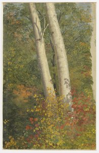  by Frederic Edwin Church