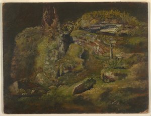 Ormandaki Kaya by Frederic Edwin Church