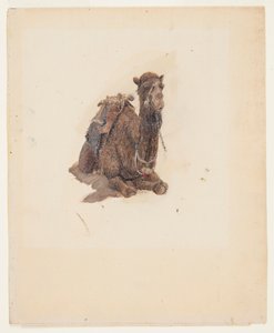 çömelmiş dromedary by Frederic Edwin Church