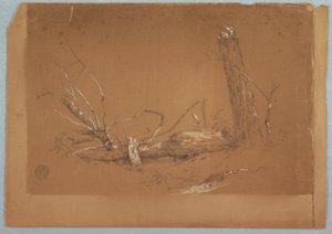 Çizim, Kırık bir ölü ağaç, 1855-65 by Frederic Edwin Church
