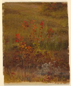 Çizim, Botanik Çalışmaları, Ekim 1865 by Frederic Edwin Church
