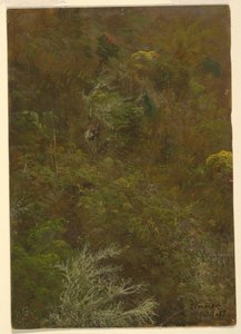  by Frederic Edwin Church