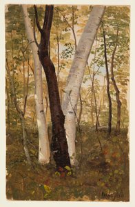  by Frederic Edwin Church