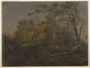  by Frederic Edwin Church