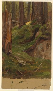  by Frederic Edwin Church