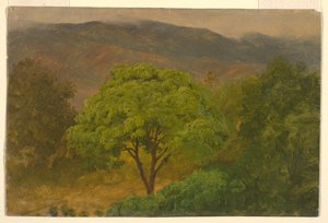  by Frederic Edwin Church